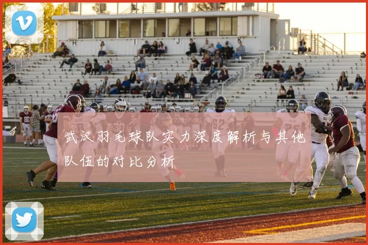 武汉羽毛球队实力深度解析与其他队伍的对比分析