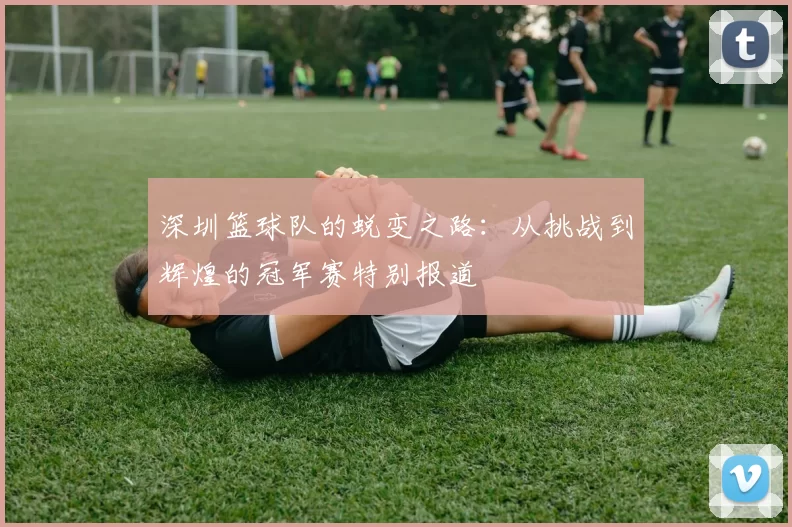 深圳篮球队的蜕变之路：从挑战到辉煌的冠军赛特别报道