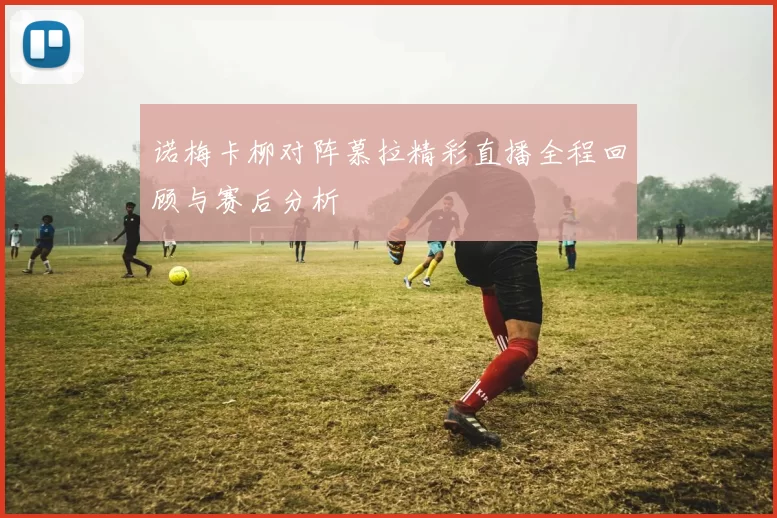 诺梅卡柳对阵慕拉精彩直播全程回顾与赛后分析