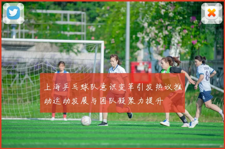 上海乒乓球队意识变革引发热议推动运动发展与团队凝聚力提升