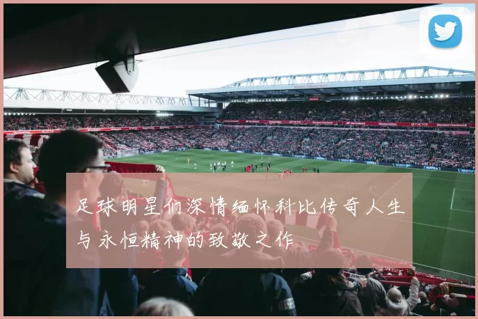 足球明星们深情缅怀科比传奇人生与永恒精神的致敬之作
