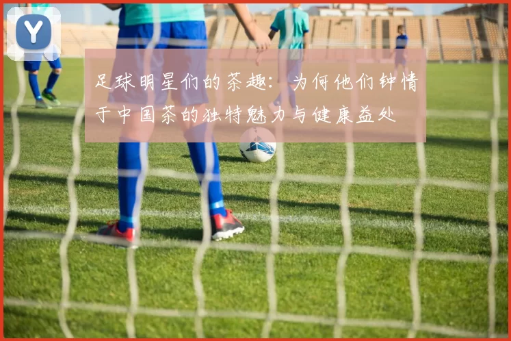足球明星们的茶趣：为何他们钟情于中国茶的独特魅力与健康益处