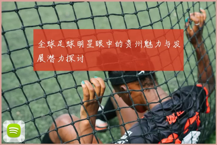全球足球明星眼中的贵州魅力与发展潜力探讨