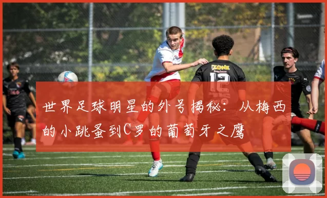 世界足球明星的外号揭秘：从梅西的小跳蚤到C罗的葡萄牙之鹰