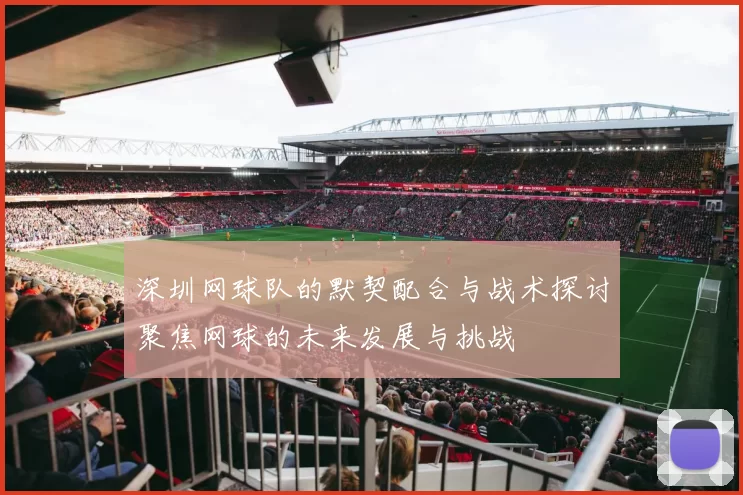 深圳网球队的默契配合与战术探讨聚焦网球的未来发展与挑战