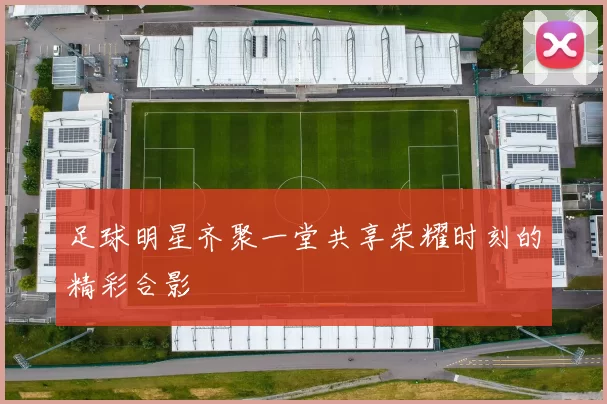 足球明星齐聚一堂共享荣耀时刻的精彩合影