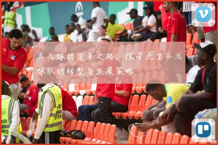 乒乓球的变革之路：探寻北京乒乓球队的转型与发展策略