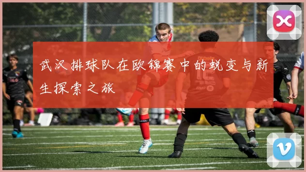 武汉排球队在欧锦赛中的蜕变与新生探索之旅