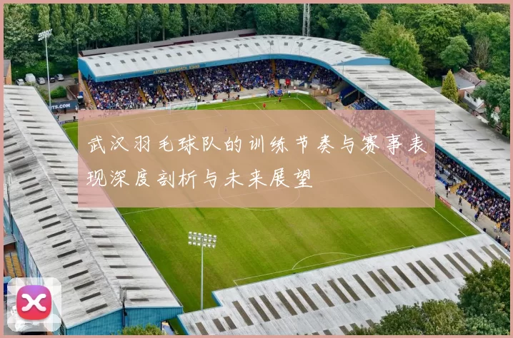 武汉羽毛球队的训练节奏与赛事表现深度剖析与未来展望