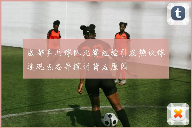 成都乒乓球队比赛经验引发热议球迷观点各异探讨背后原因