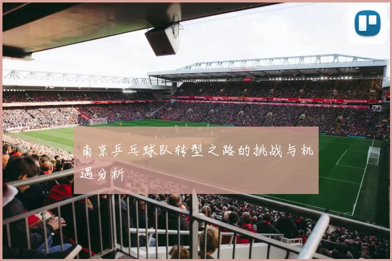南京乒乓球队转型之路的挑战与机遇分析