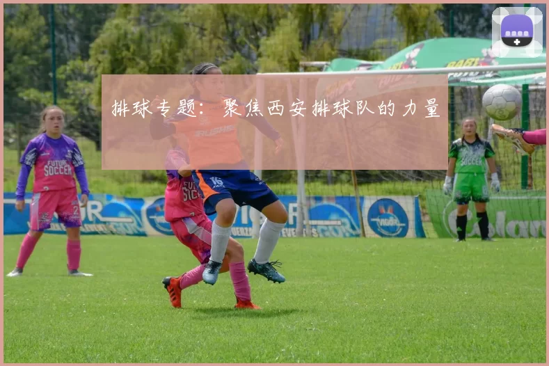 排球专题：聚焦西安排球队的力量
