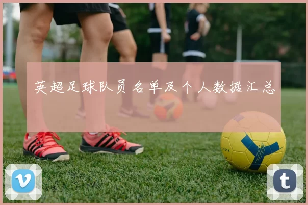 英超足球队员名单及个人数据汇总