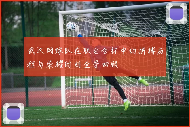 武汉网球队在联合会杯中的拼搏历程与荣耀时刻全景回顾