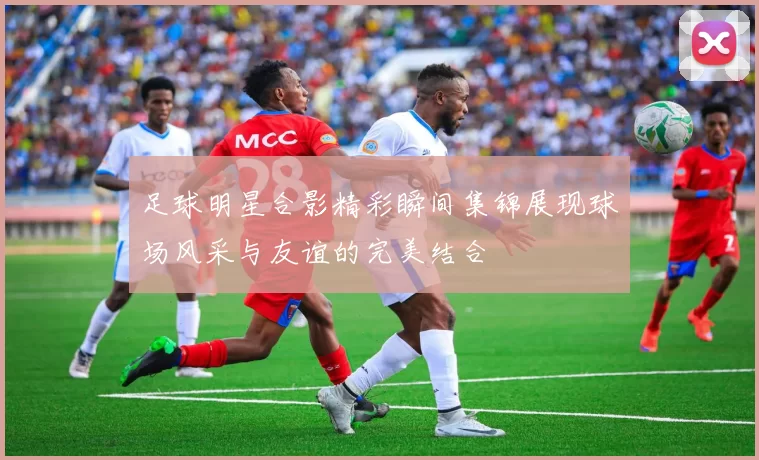 足球明星合影精彩瞬间集锦展现球场风采与友谊的完美结合
