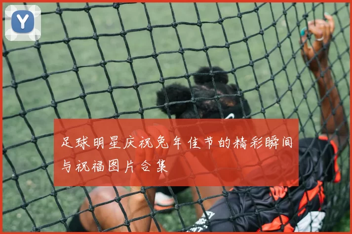 足球明星庆祝兔年佳节的精彩瞬间与祝福图片合集